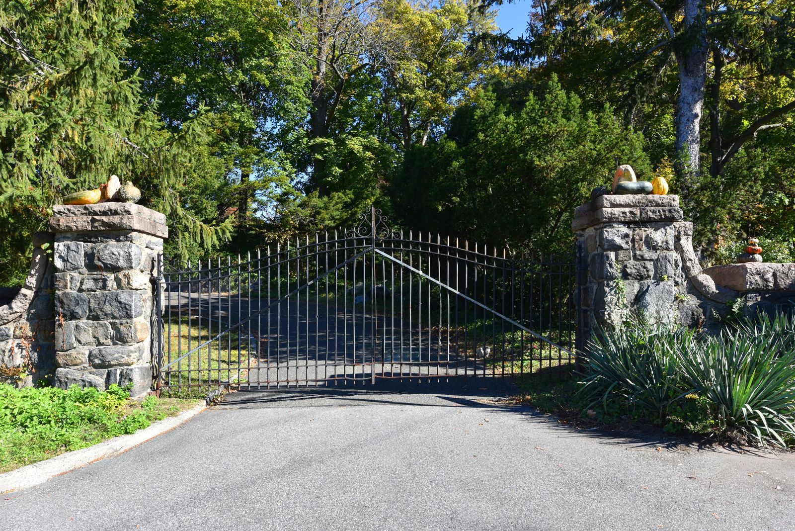 1 - manhasset