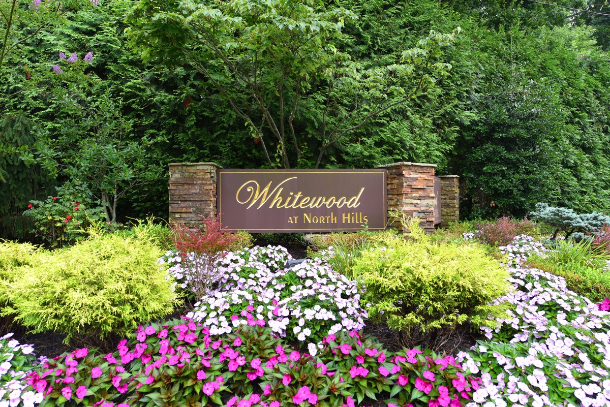 2 whitewood