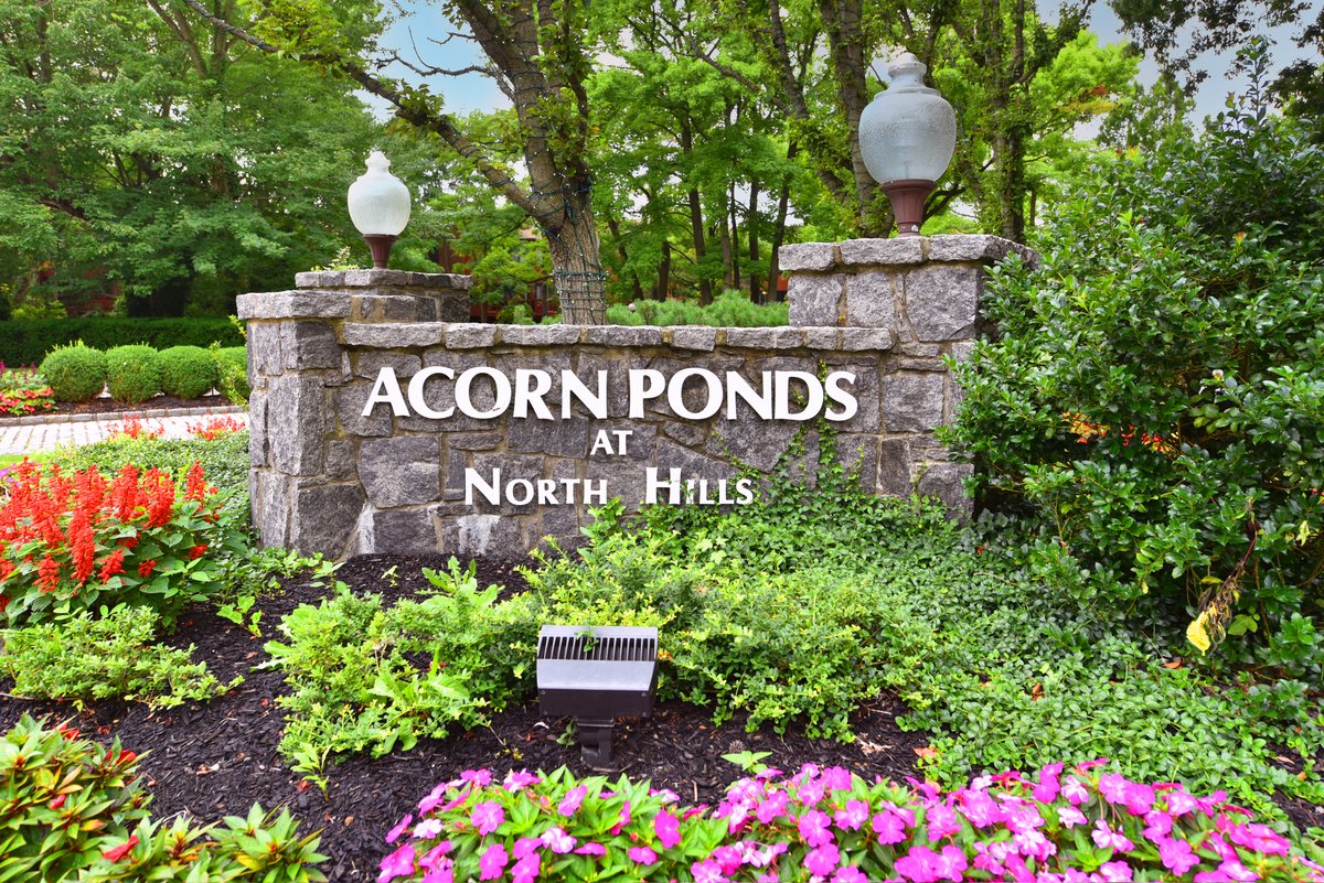 3 acorn ponds