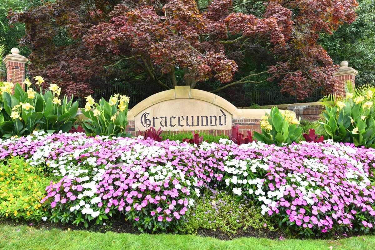 4 gracewood