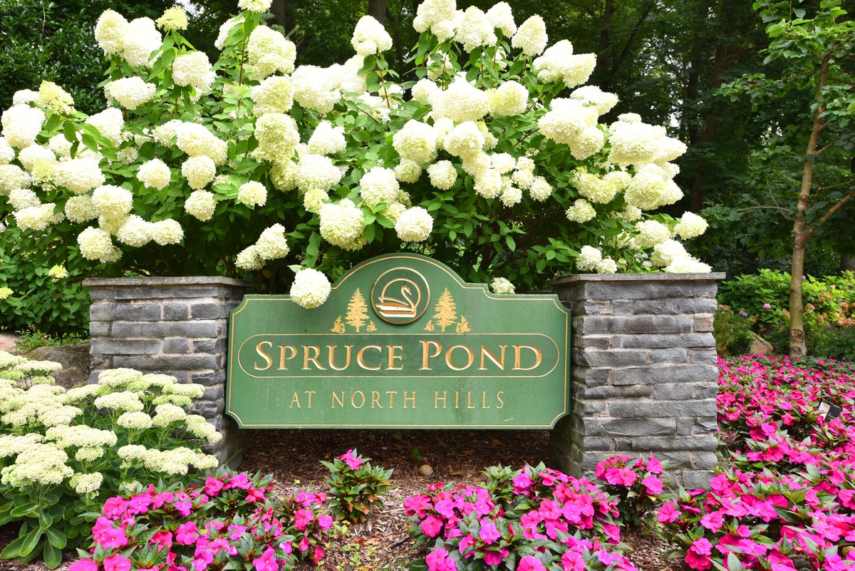 5 spruce pond