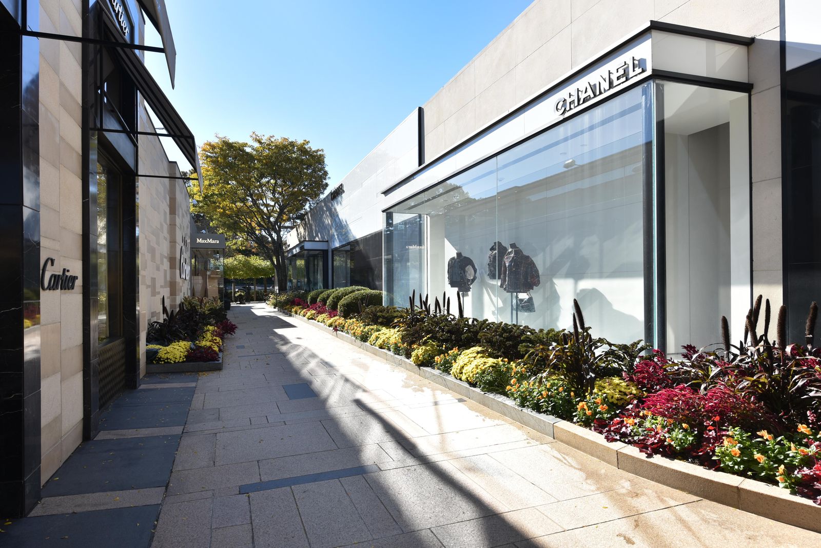 6 - manhasset